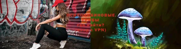 прущие грибы Баксан