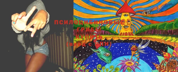прущие грибы Баксан