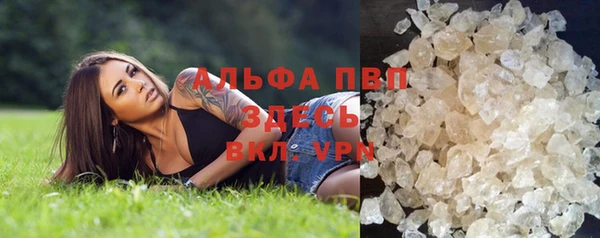 круглые Белокуриха