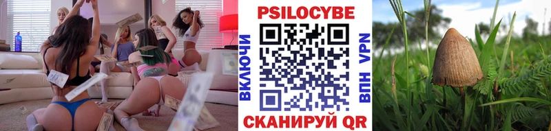Псилоцибиновые грибы мицелий Покровск