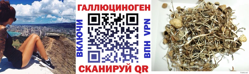 Псилоцибиновые грибы Magic Shrooms  Покровск 